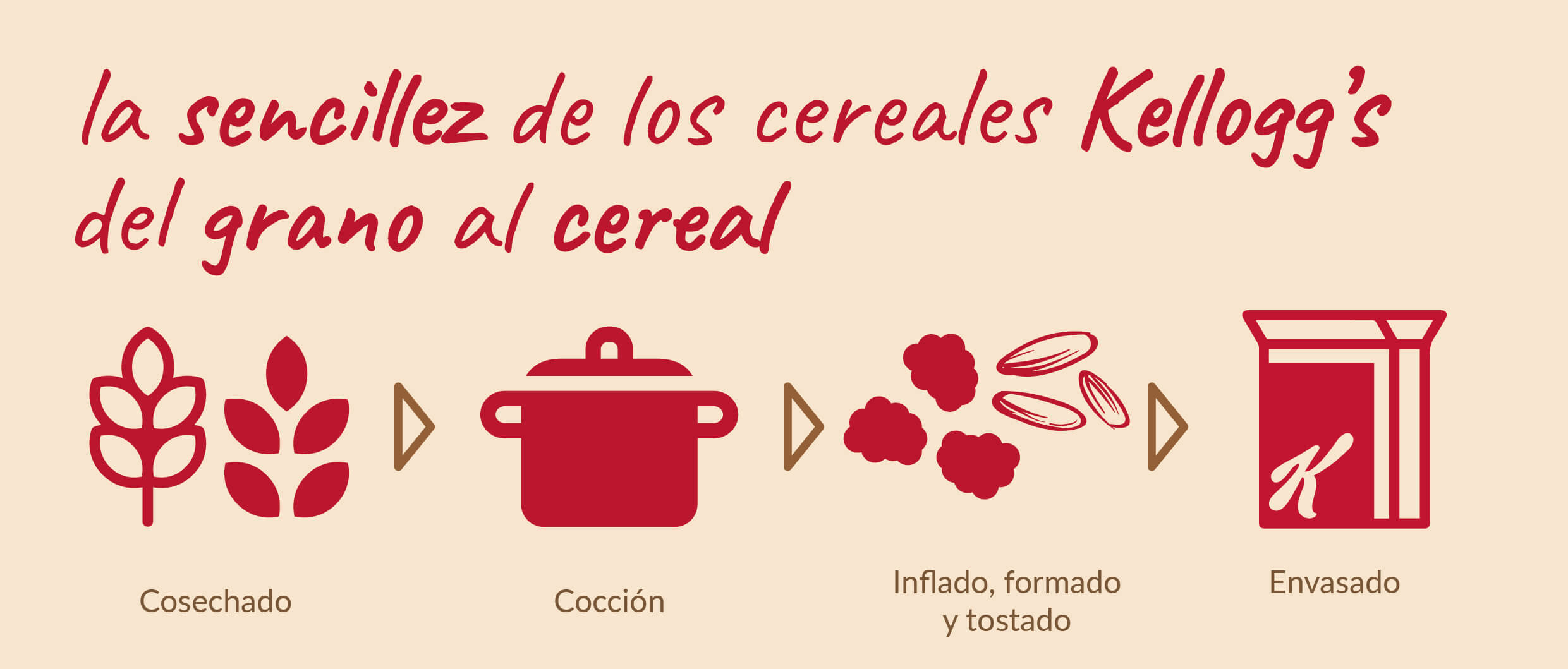 Si bien nuestras recetas varían ligeramente, el proceso principal es similar en toda la gama image1