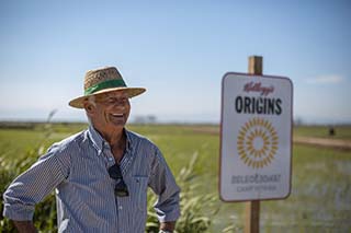 sostenibilidad Ofrecer cereales de calidad para el desayuno empieza por seleccionar las mejores plantas de cereales