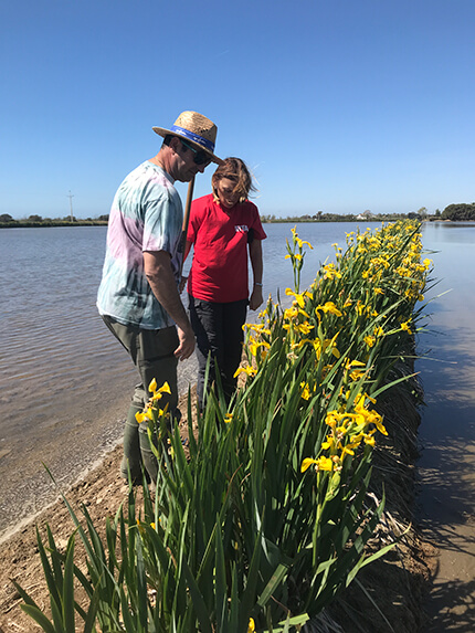 un programa global para la agricultura sostenible