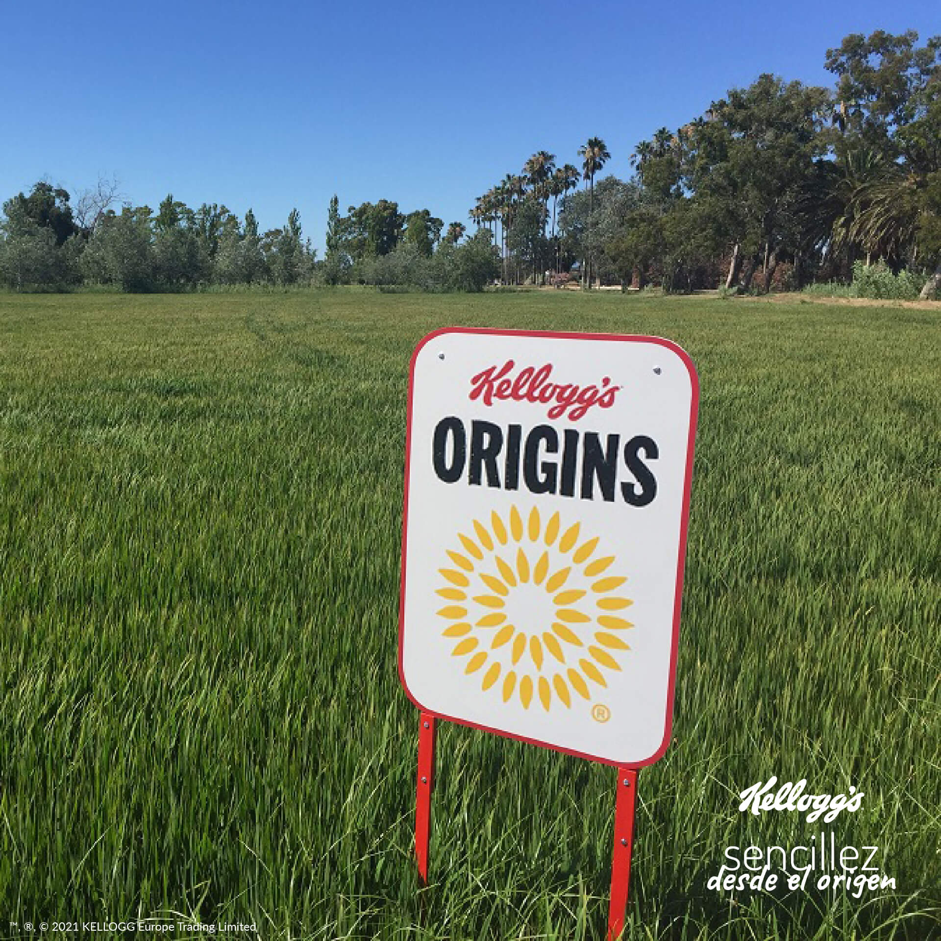 Desde nuestra creación