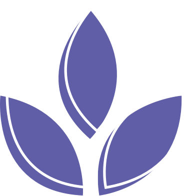 Consumo adecuado de fibra