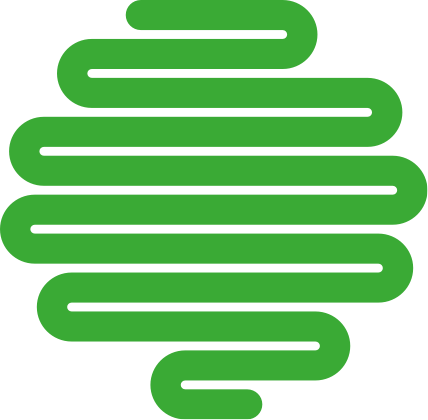 Datos interesantes sobre el intestino.
