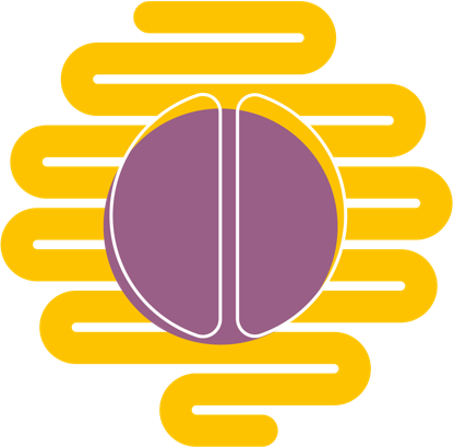 Che cosa si intende per “secondo cervello”?